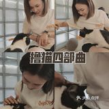 🔥别去东山口了！🐱这里的猫好粘人！！超好出片