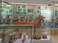 -北京中医药大学-中医药博物馆