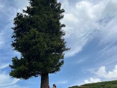 -新疆那拉提国家旅游度假区