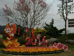 -天适樱花悠乐园