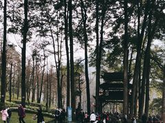 -青城山