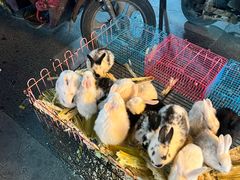 -鼓楼夜市