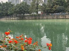 -成都市活水公园