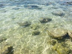 -三亚西岛海洋文化旅游区
