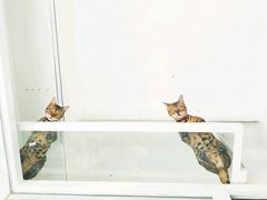 -华声天桥民俗文化园