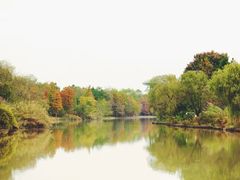 -西溪国家湿地公园