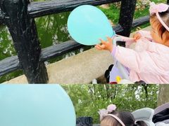 -上海共青森林公园