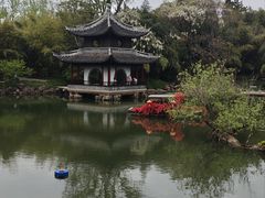 -水绘园