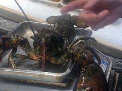 -驻海渔市(置信店)