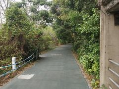 -华侨城湿地公园