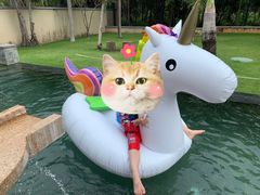 -三亚海棠湾万丽度假酒店