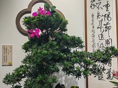 -迎泽公园