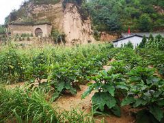 -梁家河村红色旅游区