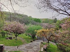 -南京市江宁方山