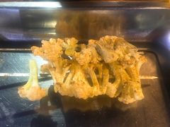 烤花菜-老虎滩大连海鲜烧烤(建邺云锦路总店)