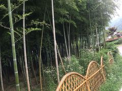 -龙寺生态园