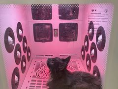 -沐沐家宠物(成寿寺店)