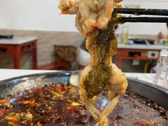 -大江美蛙鱼火锅(都江堰店)