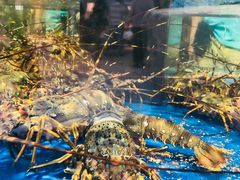 -盒马鲜生(莱蒙都会店)
