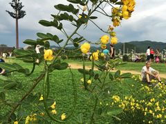 -贵阳蓬莱仙界