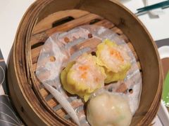 -新兴·金羊座·粤菜点心(乐峰店)