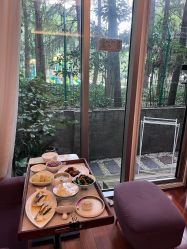 -馨月汇·一悦馨香月子中心(前滩店)
