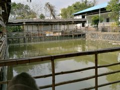 -邹记·美食(斗门店)