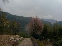 -山沟沟景区