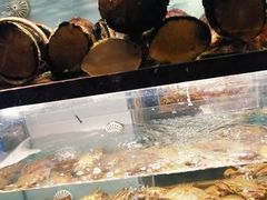 -甄御•海鲜新青岛菜(麦岛店)