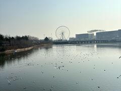 -琴岛之星摩天轮