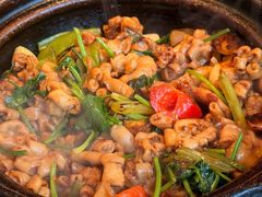 -煲煲好(朝阳门店)