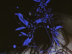 -MEDISN·药厂