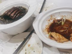 麻婆豆腐-眉州东坡(鸿坤店)