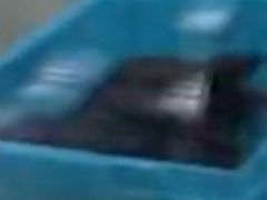 -文虎酱鸭旗舰店(禾兴南路店)