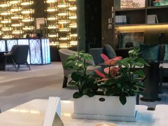 -太原阳光国际酒店·维多利亚大堂酒廊