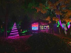 -枫花园汽车电影院(朝阳公园店)