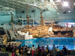 android_upload_pic-海合安青岛极地海洋公园
