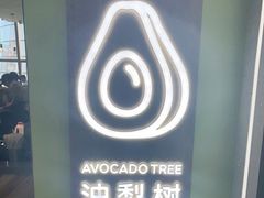 -油梨树AVOCADO TREE(望京店)