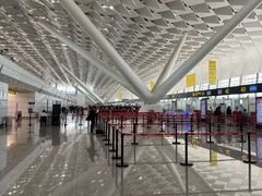 -郑州新郑国际机场-T2航站楼