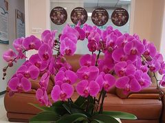 -海之声助听器佛山旗舰店(华麟大厦店)