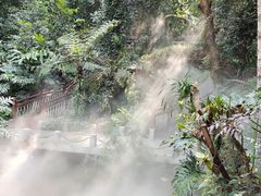 -深圳仙湖植物园