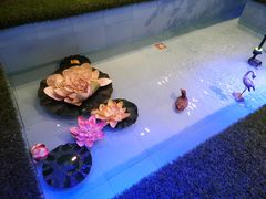 -同喜烤鸭店(光芒店)