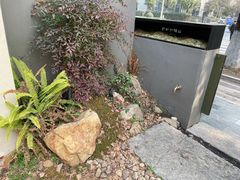 -山野咖啡(之江花园店)