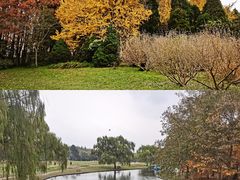 -上海共青森林公园