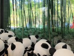 -杭州植物园
