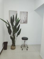 -KISS U 国际美学