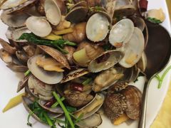 -老刺参海鲜酒楼
