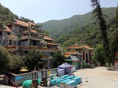 -南海湾森林生态园
