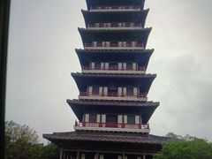 -宜兴龙背山森林公园