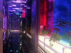 -星璨火吧KTV聚会餐厅(丰庆路店)